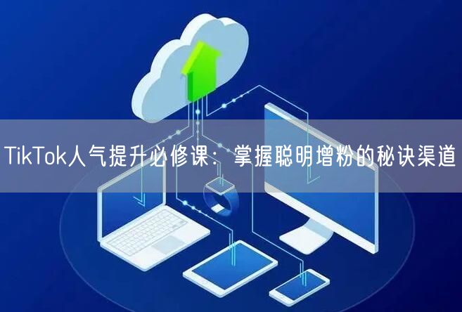 TikTok人气提升必修课：掌握聪明增粉的秘诀渠道