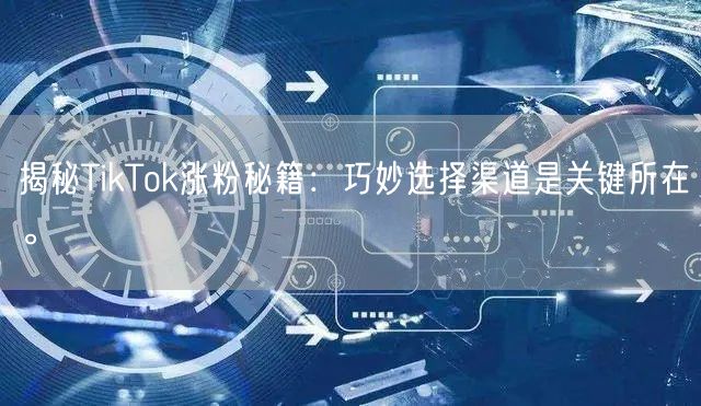 揭秘TikTok涨粉秘籍：巧妙选择渠道是关键所在。
