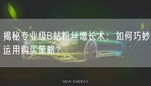 揭秘专业级B站粉丝增长术：如何巧妙运用购买策略？
