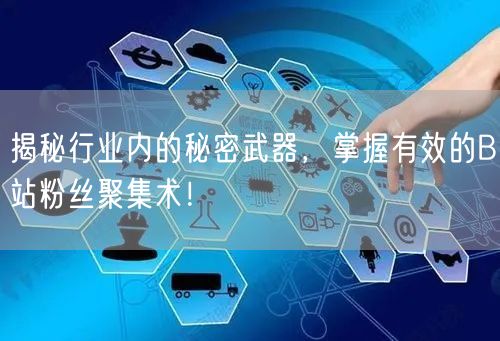揭秘行业内的秘密武器，掌握有效的B站粉丝聚集术！