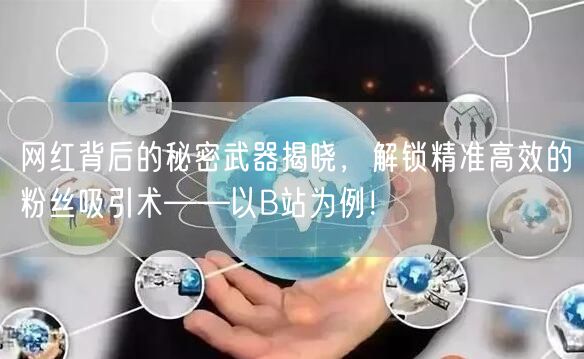 网红背后的秘密武器揭晓，解锁精准高效的粉丝吸引术——以B站为例！