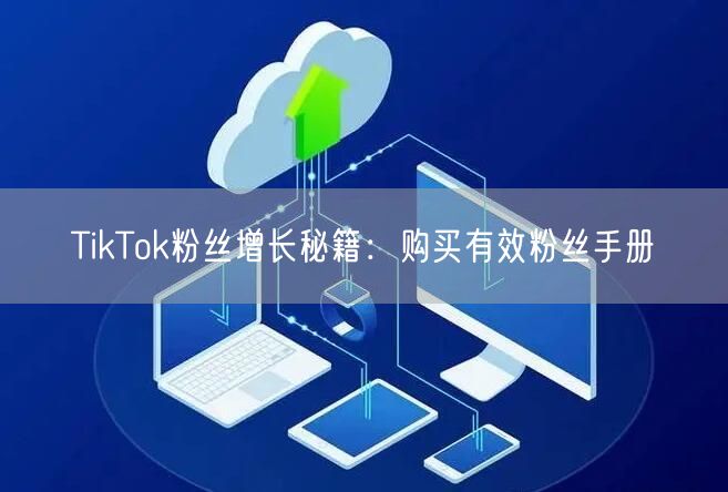 TikTok粉丝增长秘籍：购买有效粉丝手册