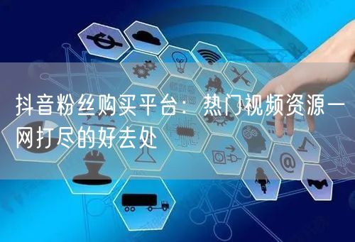 抖音粉丝购买平台：热门视频资源一网打尽的好去处