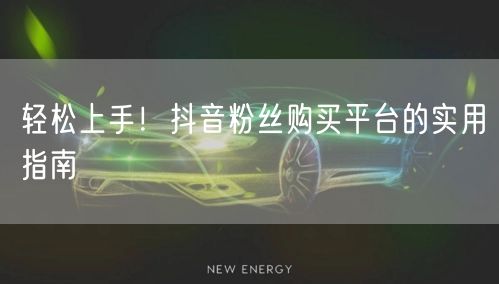 轻松上手！抖音粉丝购买平台的实用指南