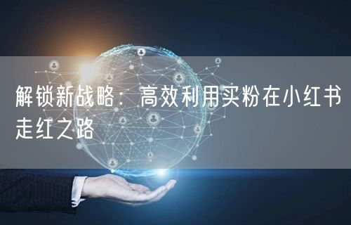 解锁新战略：高效利用买粉在小红书走红之路