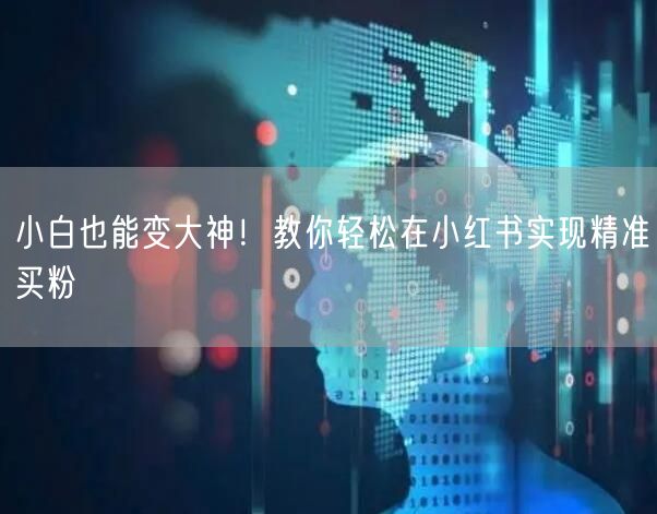 小白也能变大神！教你轻松在小红书实现精准买粉
