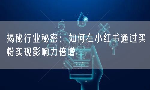 揭秘行业秘密：如何在小红书通过买粉实现影响力倍增