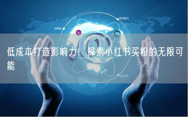 低成本打造影响力！探索小红书买粉的无限可能