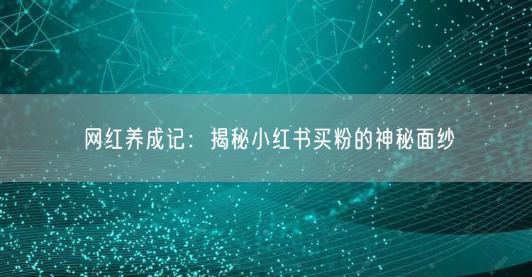网红养成记：揭秘小红书买粉的神秘面纱