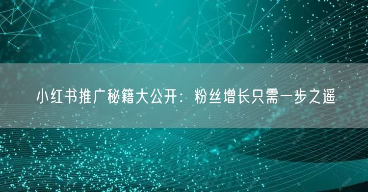 小红书推广秘籍大公开：粉丝增长只需一步之遥