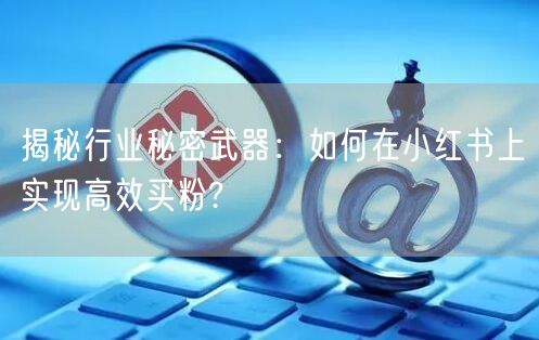 揭秘行业秘密武器：如何在小红书上实现高效买粉?