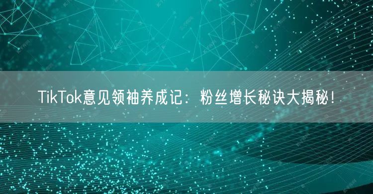 TikTok意见领袖养成记：粉丝增长秘诀大揭秘！