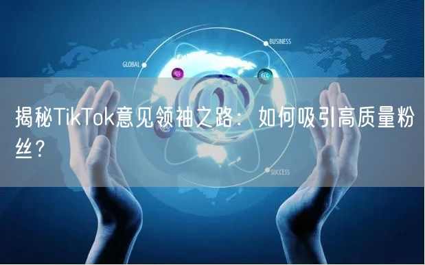 揭秘TikTok意见领袖之路：如何吸引高质量粉丝？