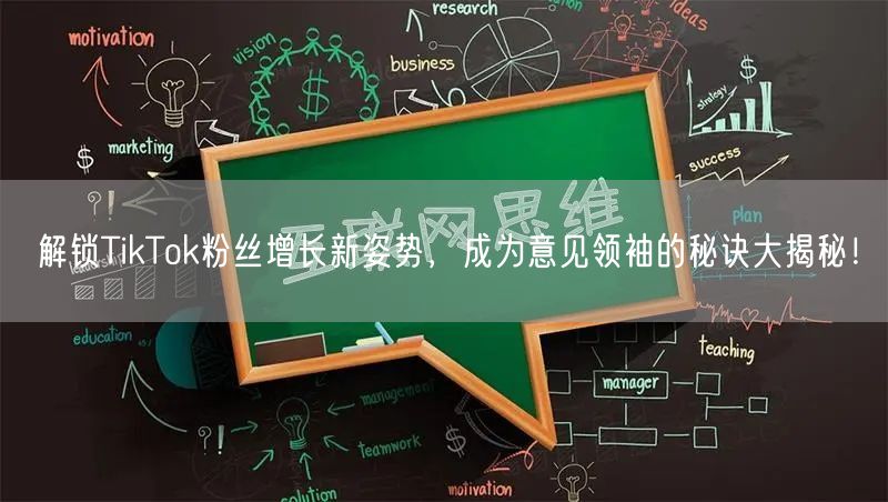 解锁TikTok粉丝增长新姿势，成为意见领袖的秘诀大揭秘！