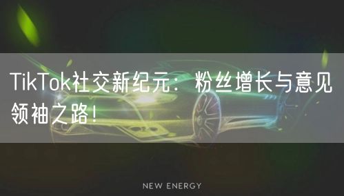 TikTok社交新纪元：粉丝增长与意见领袖之路！