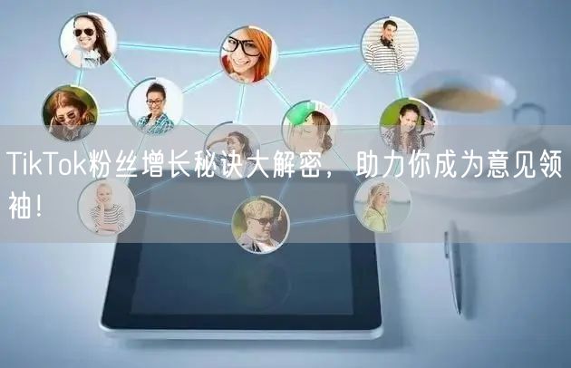 TikTok粉丝增长秘诀大解密，助力你成为意见领袖！