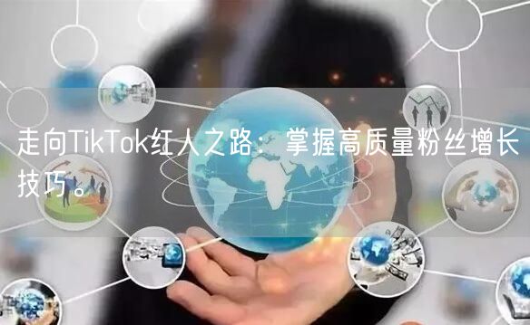 走向TikTok红人之路：掌握高质量粉丝增长技巧。