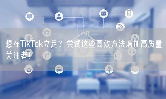 想在TikTok立足？尝试这些高效方法增加高质量关注者！