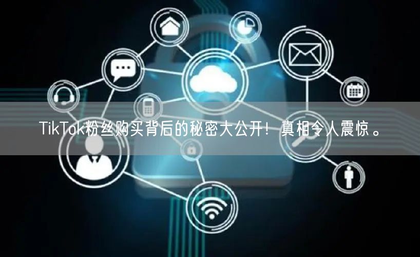 TikTok粉丝购买背后的秘密大公开！真相令人震惊。