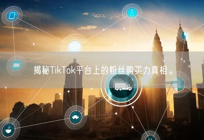揭秘TikTok平台上的粉丝购买力真相。