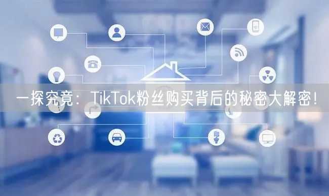一探究竟：TikTok粉丝购买背后的秘密大解密！