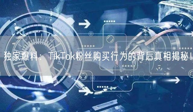 独家爆料：TikTok粉丝购买行为的背后真相揭秘！