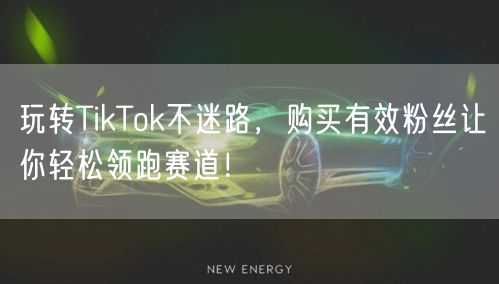 玩转TikTok不迷路，购买有效粉丝让你轻松领跑赛道！