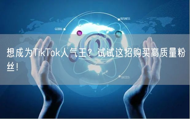 想成为TikTok人气王？试试这招购买高质量粉丝！