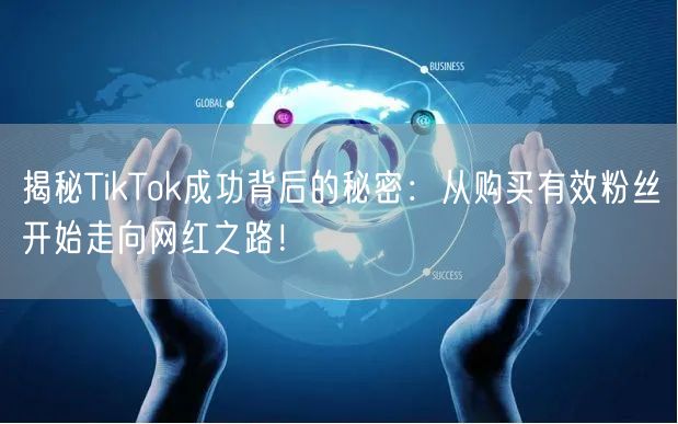 揭秘TikTok成功背后的秘密：从购买有效粉丝开始走向网红之路！