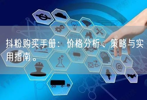抖粉购买手册：价格分析、策略与实用指南。
