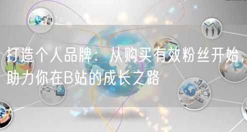 打造个人品牌：从购买有效粉丝开始，助力你在B站的成长之路