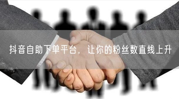 抖音自助下单平台，让你的粉丝数直线上升