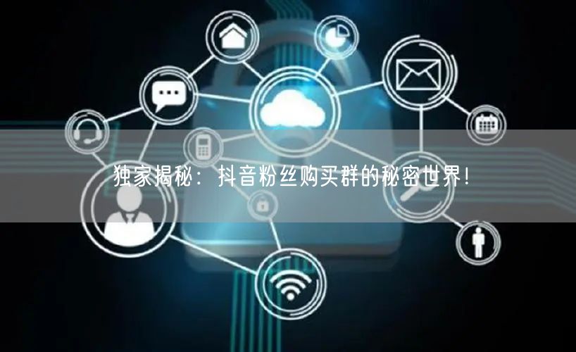 独家揭秘：抖音粉丝购买群的秘密世界！