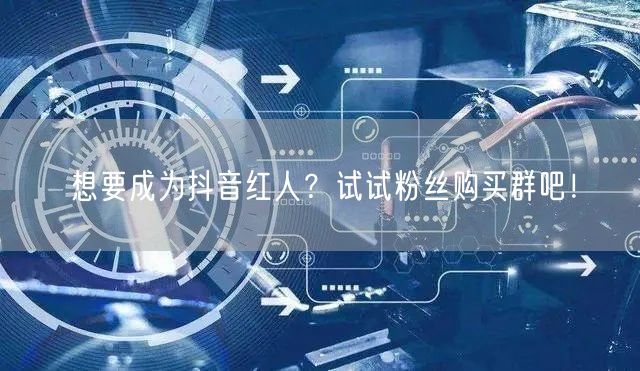 想要成为抖音红人？试试粉丝购买群吧！