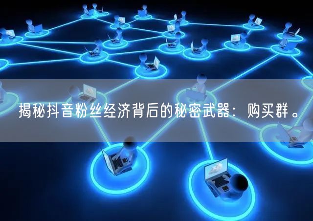 揭秘抖音粉丝经济背后的秘密武器：购买群。