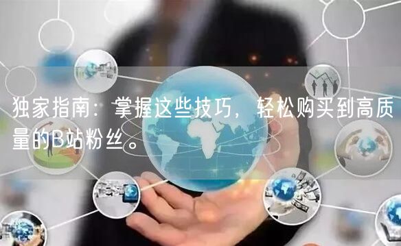 独家指南：掌握这些技巧，轻松购买到高质量的B站粉丝。