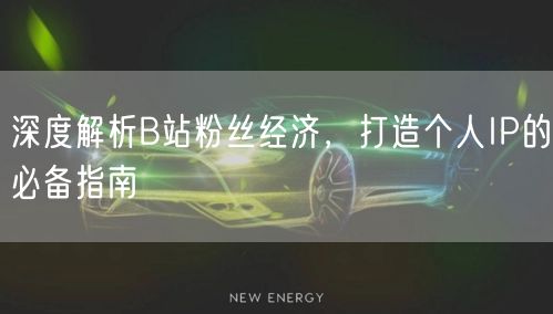 深度解析B站粉丝经济，打造个人IP的必备指南