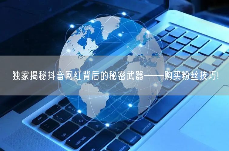 独家揭秘抖音网红背后的秘密武器——购买粉丝技巧!