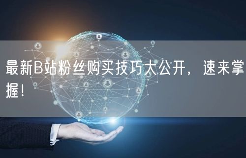 最新B站粉丝购买技巧大公开，速来掌握！