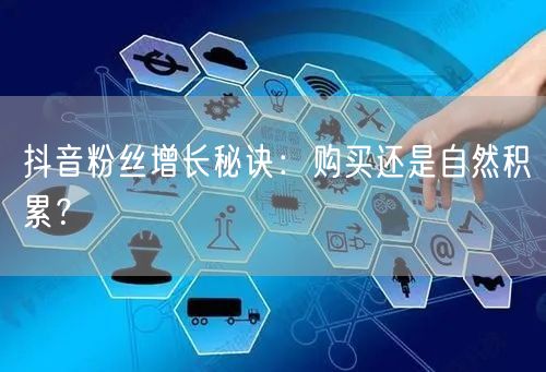 抖音粉丝增长秘诀：购买还是自然积累？
