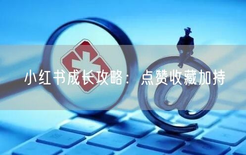 小红书成长攻略：点赞收藏加持