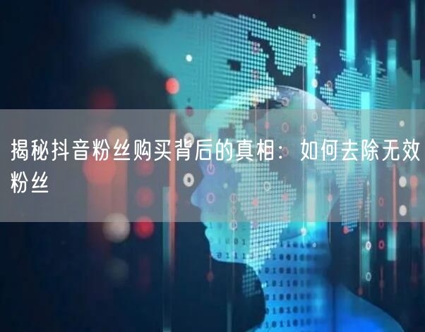 揭秘抖音粉丝购买背后的真相：如何去除无效粉丝
