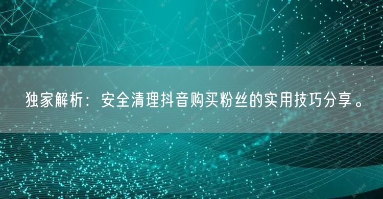 独家解析：安全清理抖音购买粉丝的实用技巧分享。