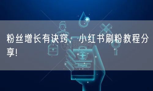 粉丝增长有诀窍，小红书刷粉教程分享!