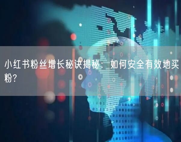 小红书粉丝增长秘诀揭秘：如何安全有效地买粉?