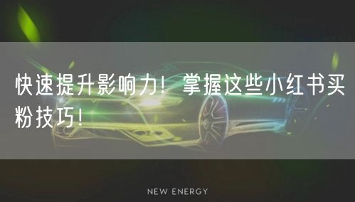 快速提升影响力！掌握这些小红书买粉技巧！