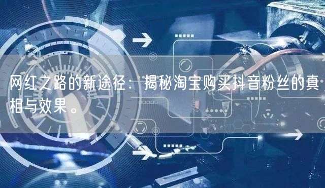 网红之路的新途径：揭秘淘宝购买抖音粉丝的真相与效果。