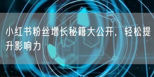 小红书粉丝增长秘籍大公开，轻松提升影响力