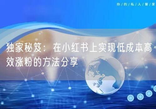 独家秘笈：在小红书上实现低成本高效涨粉的方法分享
