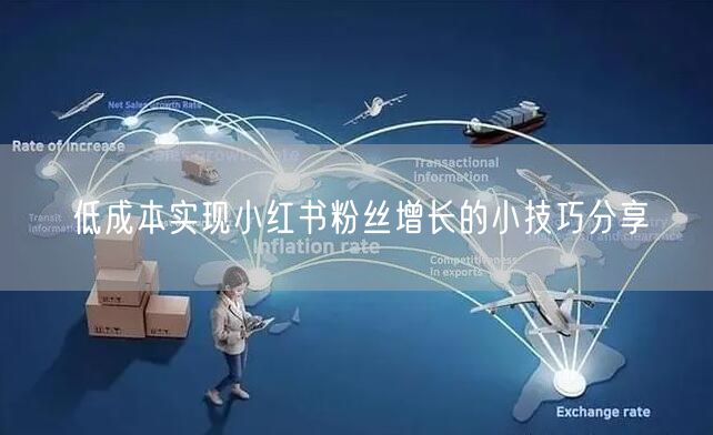 低成本实现小红书粉丝增长的小技巧分享